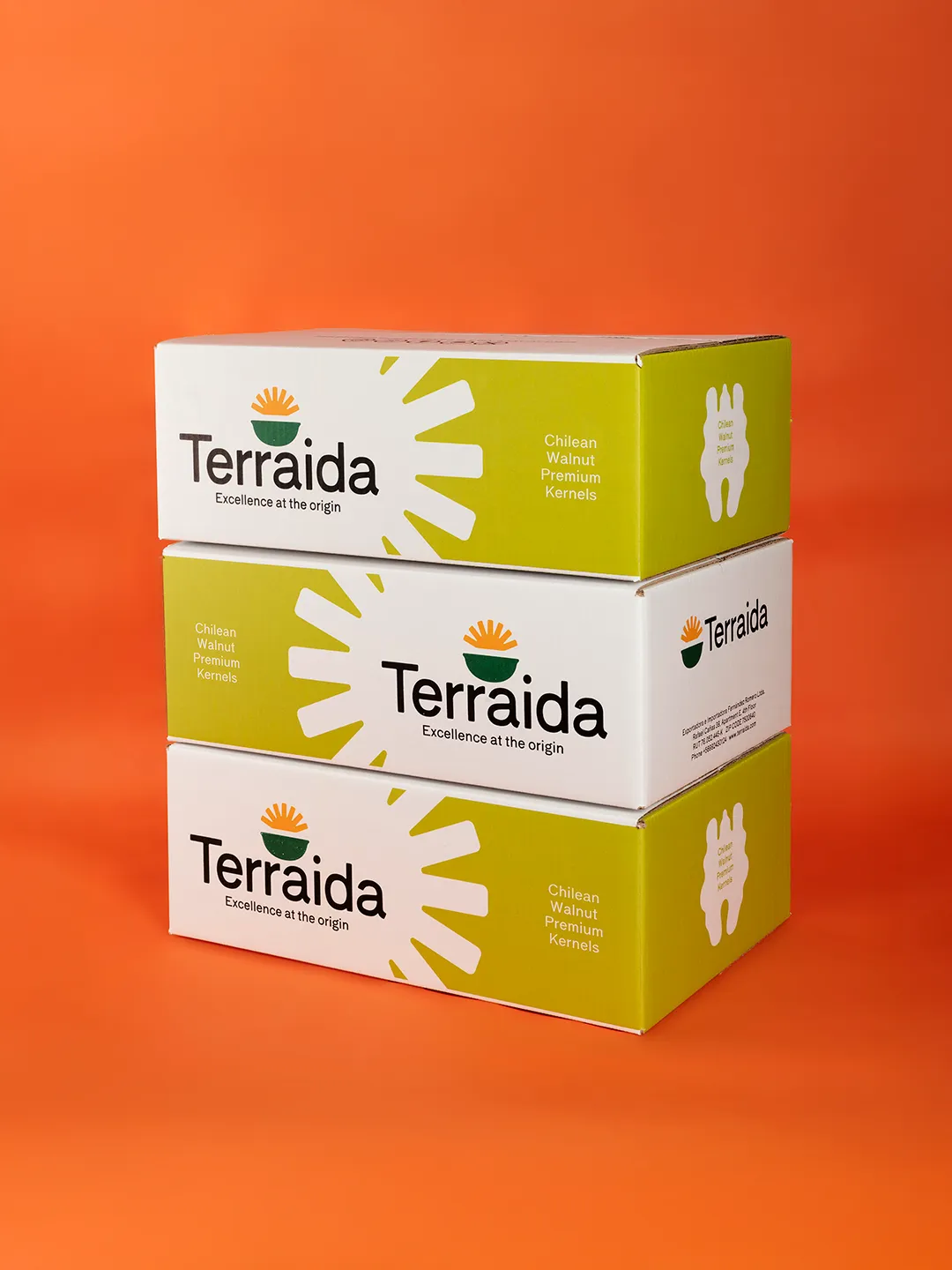 Cajas de nueces sin cáscara Terraida